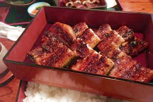 うなぎ「しらいし」